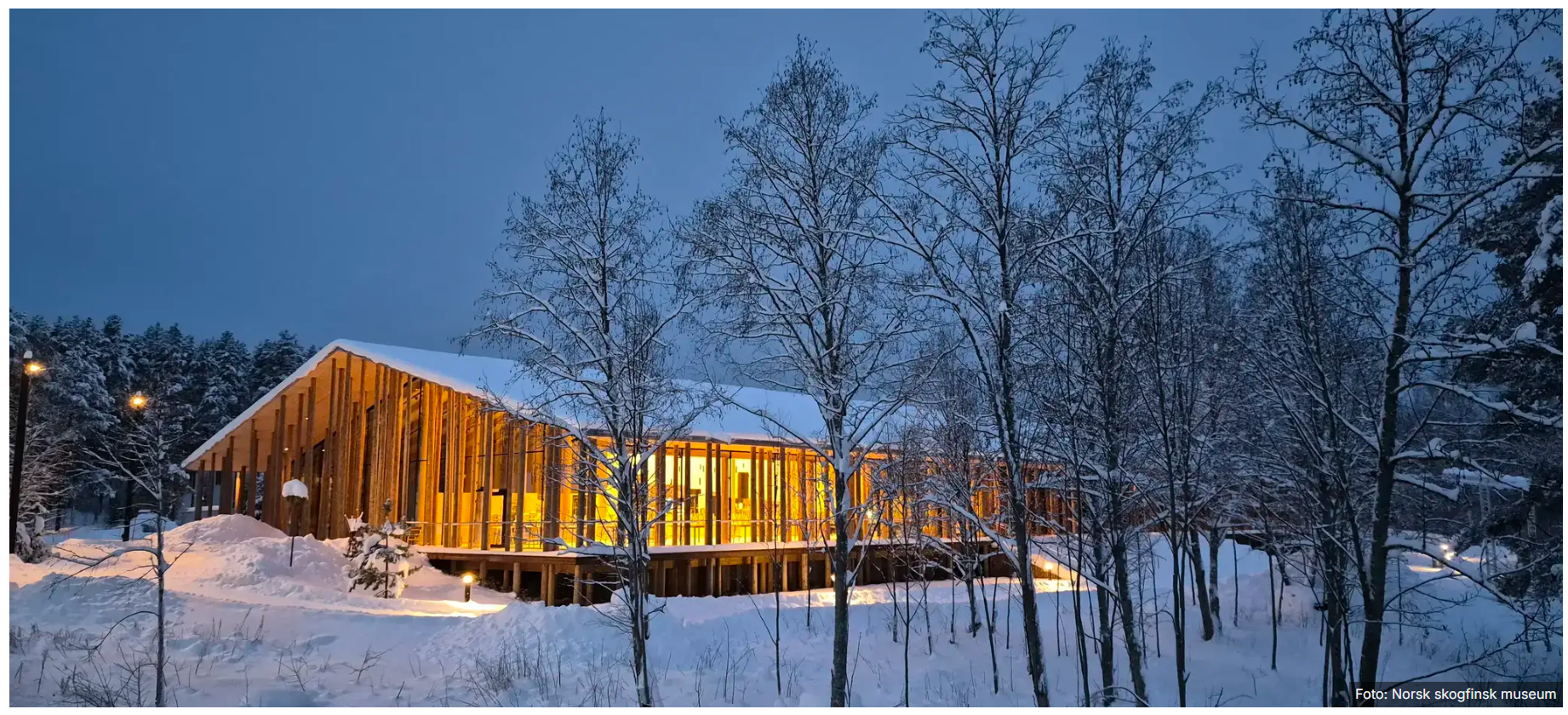 Skogfinsk museum Foto: Norsk skogfinsk museum